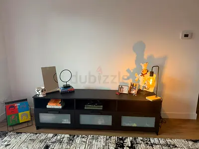 Stylish Modern Entertainment Center with Storage