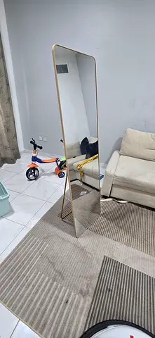 Elegant Full-Length Mirror with Modern Frame