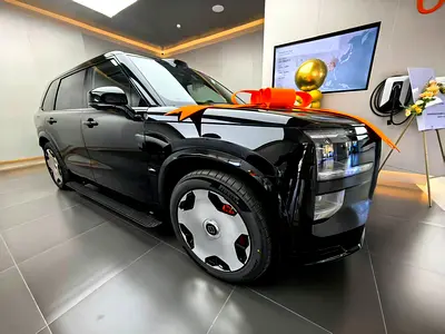 2025 Zeekr 9 照片 3
