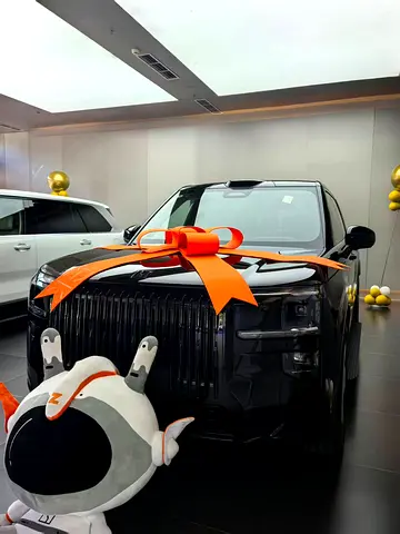 2025 Zeekr 9 照片 2
