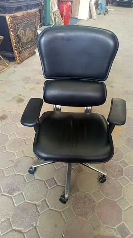 Ergohoman chair for sale