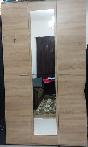 Stylish Wooden Wardrobe with Mirror