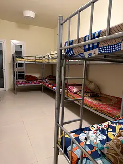 Executive kerala bed space