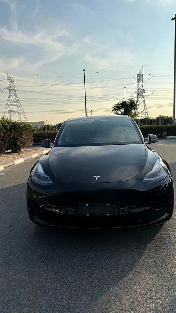Tesla Model Y Standard