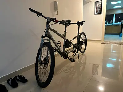 Schwinn Twin Cycle, 2 seater