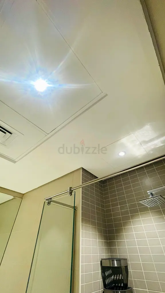 DPV_View_Image_2