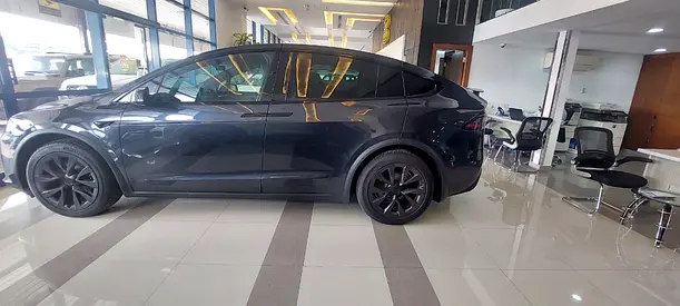 2024 Tesla MODEL X — фото 10