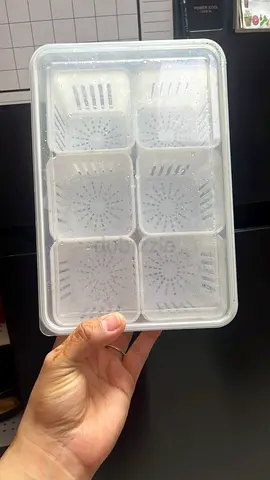 Fridge Organizer for keeping ginger garlic greenchillies
