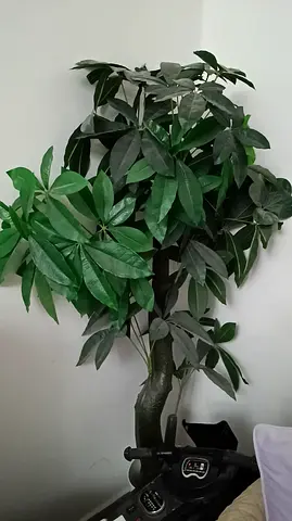 ARTIFICIAL BIG GREEN TREE