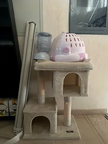 cat tree, portable house, refillable plate, toilet (not in photo)