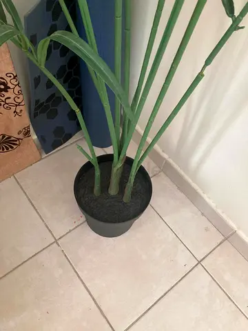 Artificial Plant