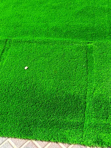 Vibrant Green Artificial Grass Rug