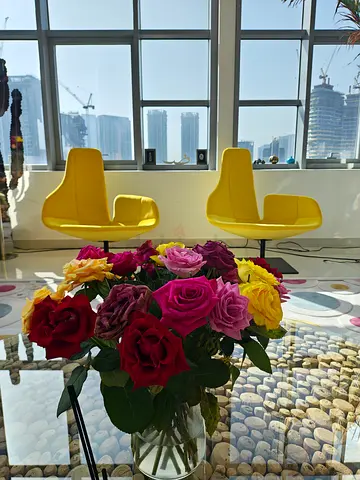 Moroso Fjord Yellow Chair Roche Bobois Ligne Roset Marina Home