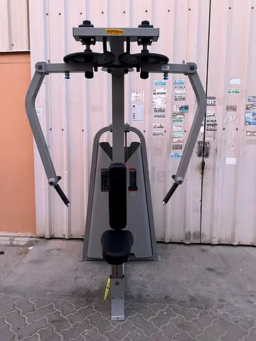 Dhz fitness REAR DELT/PEC FLY