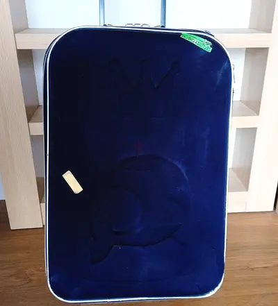 Stylish and Spacious Rolling Luggage