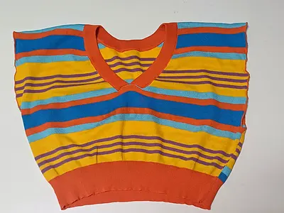 Colorful Striped Crop Top