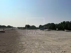 Land For Sale | Prime Location | Al Dhaid Road