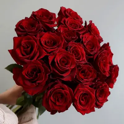 Valentine’s Day Red Roses Bouquet | 14 February | Best price roses