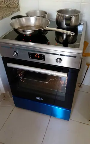 .induction Terim Cooker Range Size 60cm