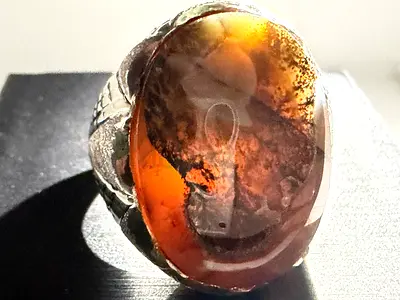 Abu dhabi alsawamik10