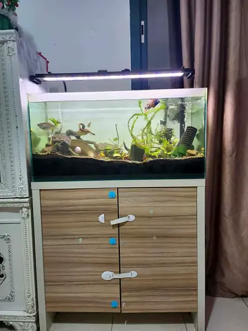 Fish tank for sale