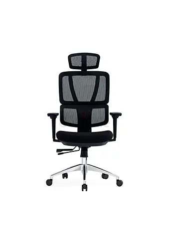Ergonomic Office Chair with Adjustable Features