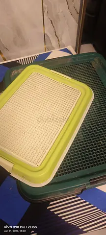 Dog Training Potty Pad with Easy Clean Design