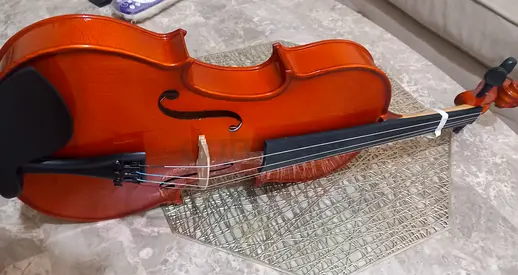 Beautiful Violin for Sale