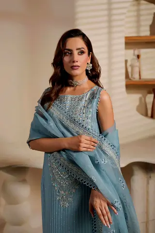 Elegant Blue Ethnic Dress