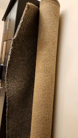 Elegant Area Rug