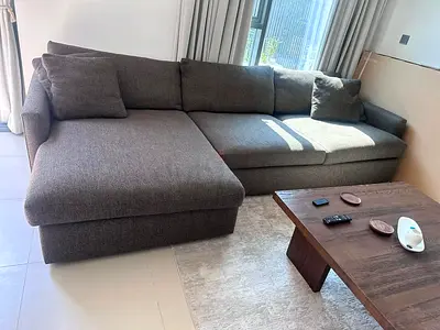 Lounge deep Cratebarrel sofa