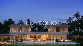 Aurora Type | Largest Plot | Get in touch