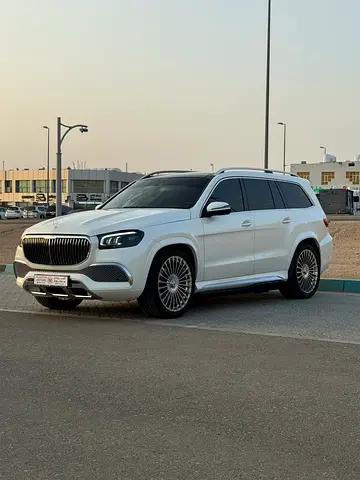 2014 Mercedes-BENZ GL 缩略图 17