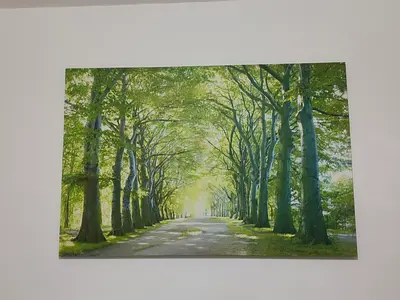 Canvas Painting of a green forest
