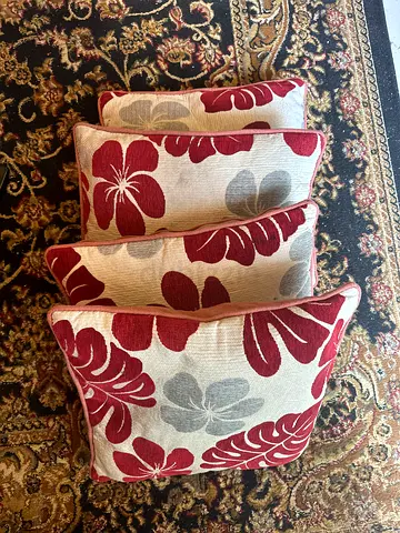Set of Beautiful Decorative 4 piece Cushions for Sale