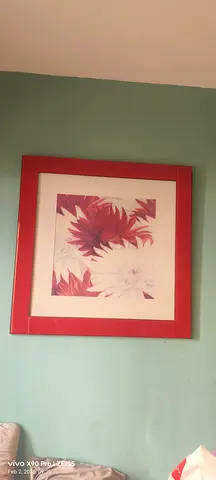 Framed Art Print with Vibrant Red Frame
