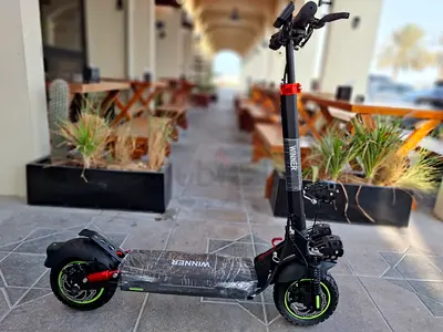 T4 winer electric scooter 48v