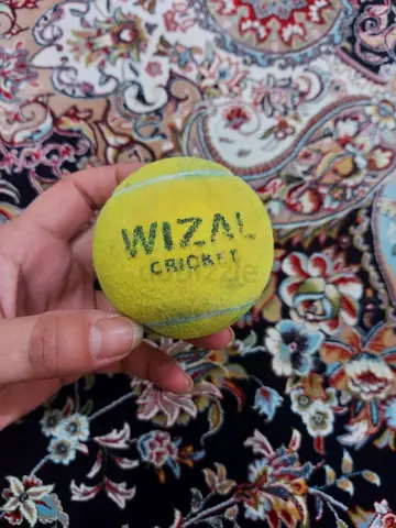 Cricket balls