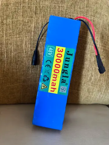 48V 30000mAh Lithium Ion Battery with Charger