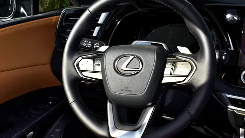 2026 Lexus RX-SERIES photo 9