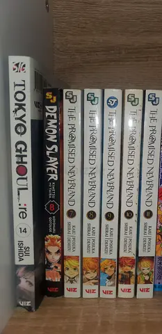 manga for sale (tokyo ghoul :re, demon slayer, the promised neverland)