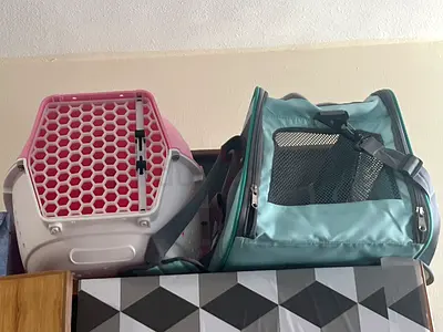 Pet Carriers for Travel