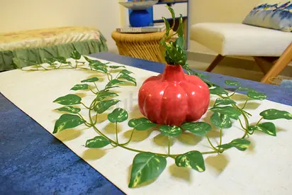 Charming Decorative vase without Artificial Plants