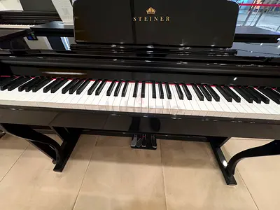 Steiner Digital Piano Dp850