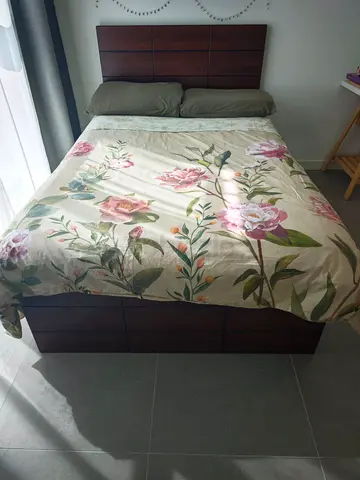 Bed