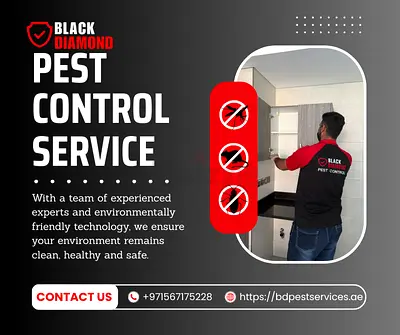 Pest Control Abu Dhabi Near me