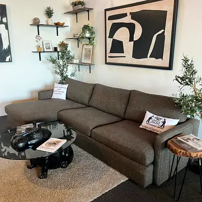Lounge deep brown Cratebarrel feather 🪶 filled sofa