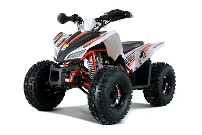 125 CC Fully Automatic ATV QUAD BIKE For Teens and adults With Reverse