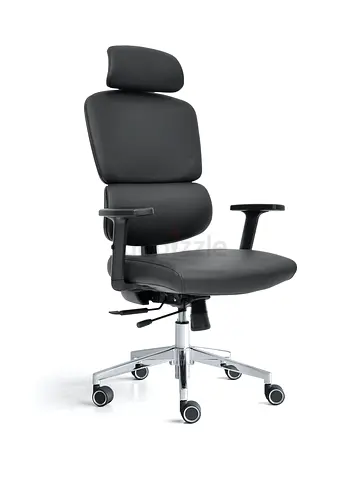 Ergonomic Office Chair with Adjustable Features