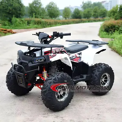 125cc ATV Quad Bike